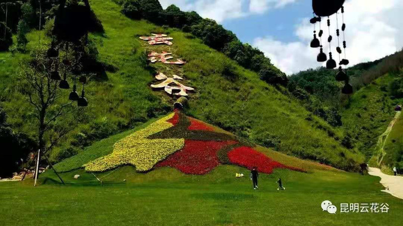 昆明旅游网