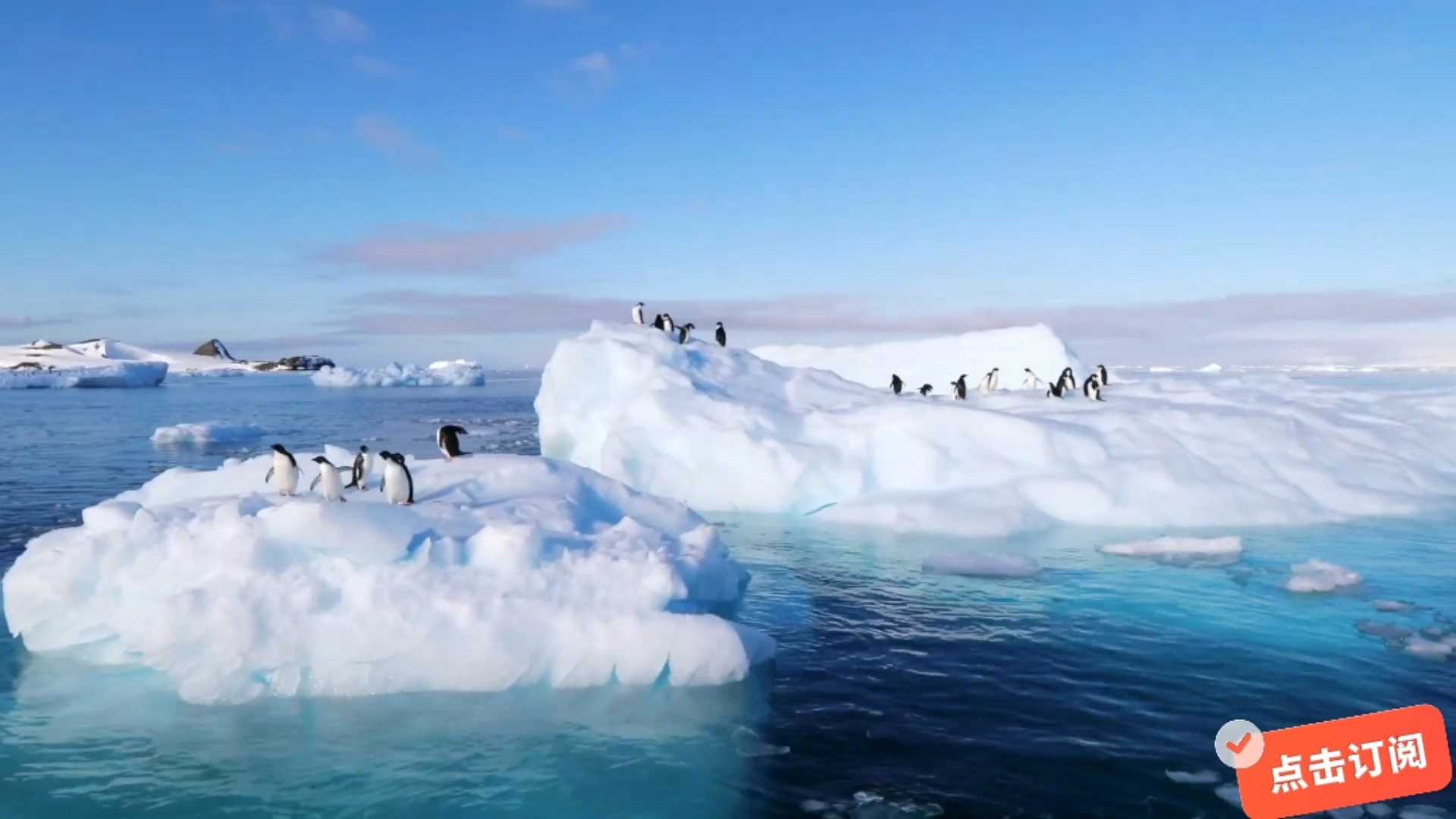 今天带你欣赏一下南极美丽的景色