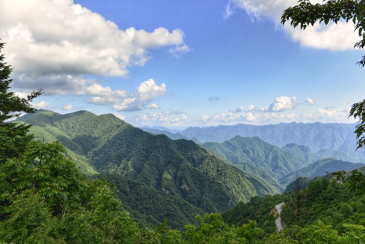 巴山神田草原