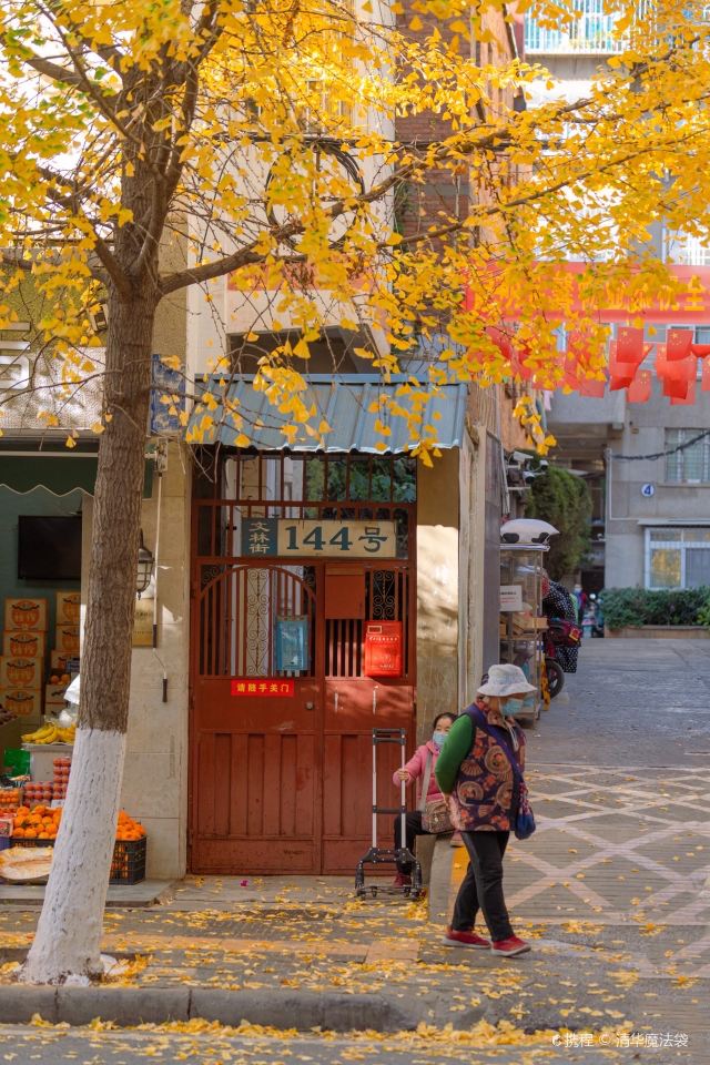 昆明文林街攻略,昆明文林街门票/游玩攻略/地址/图片/门票价格【携程