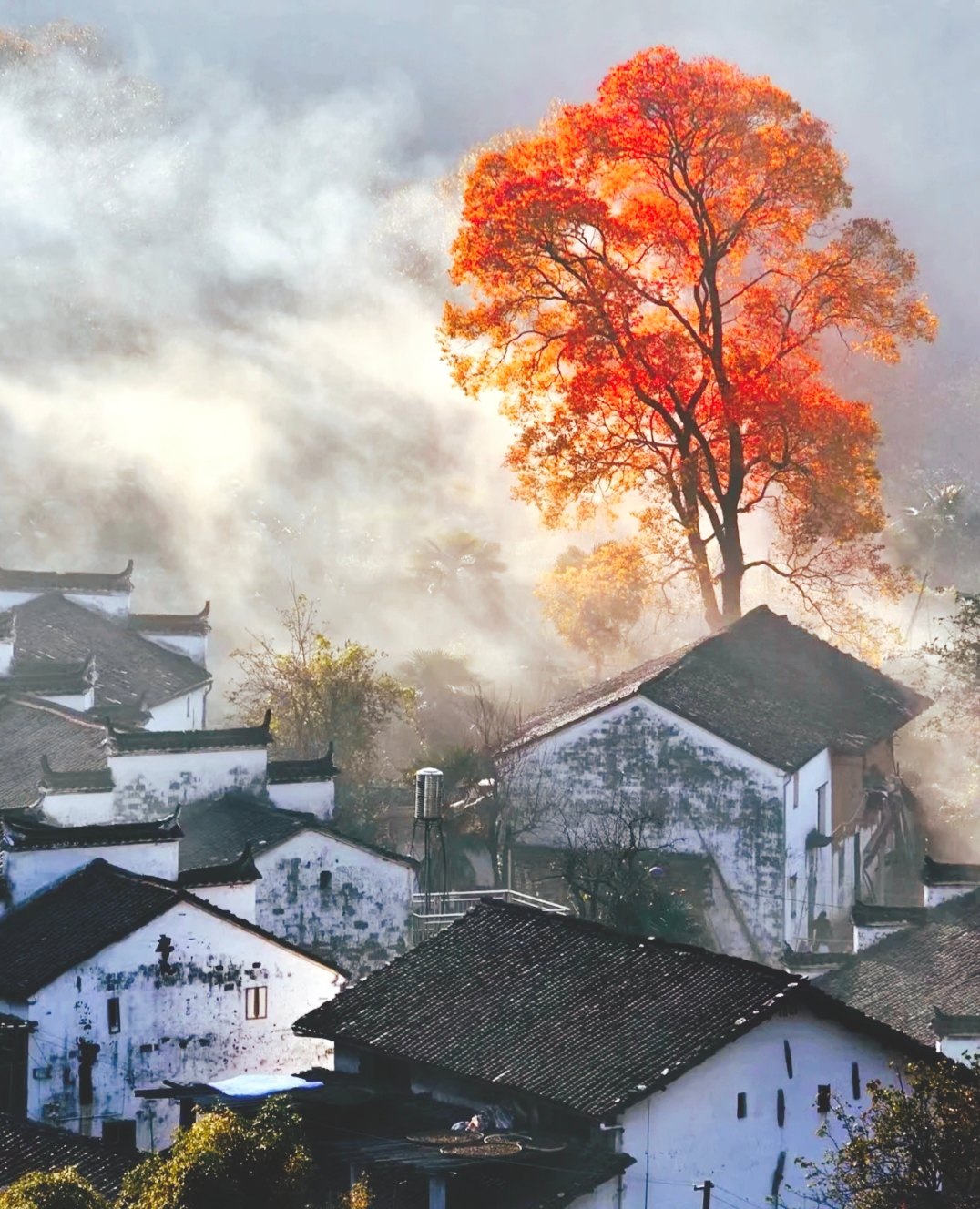 婺源-最中国的古镇，烟火里享受生活
