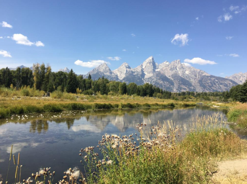 Grand Teton & Yellowstone from Salt Lake City – 3 Days