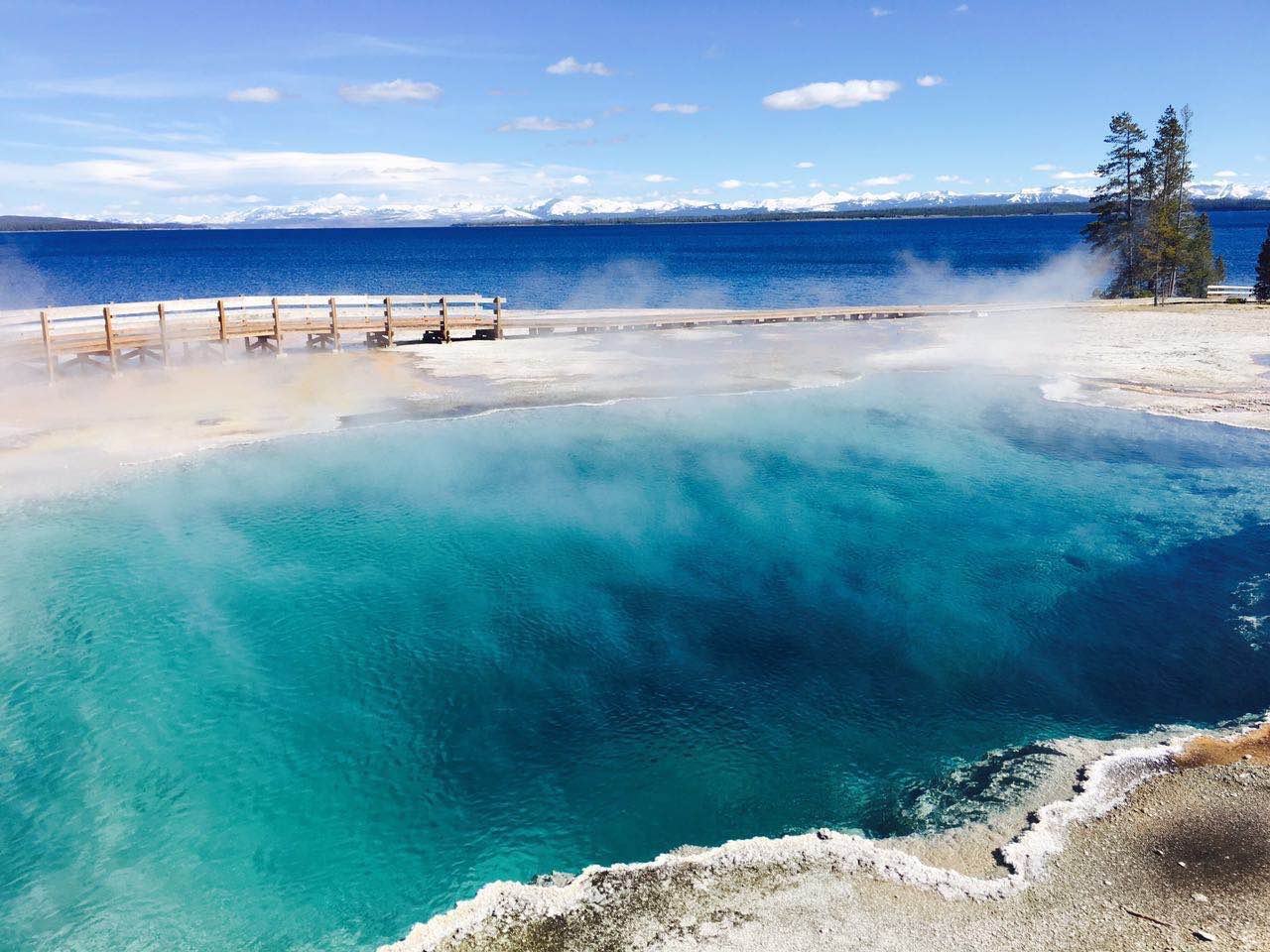 Grand Teton & Yellowstone from Salt Lake City – 4 Days
