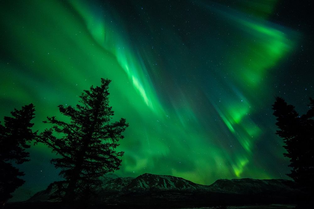 Alaska Northern Lights: Fairbanks