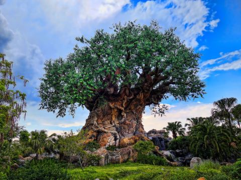 Orlando Theme Parks Holiday