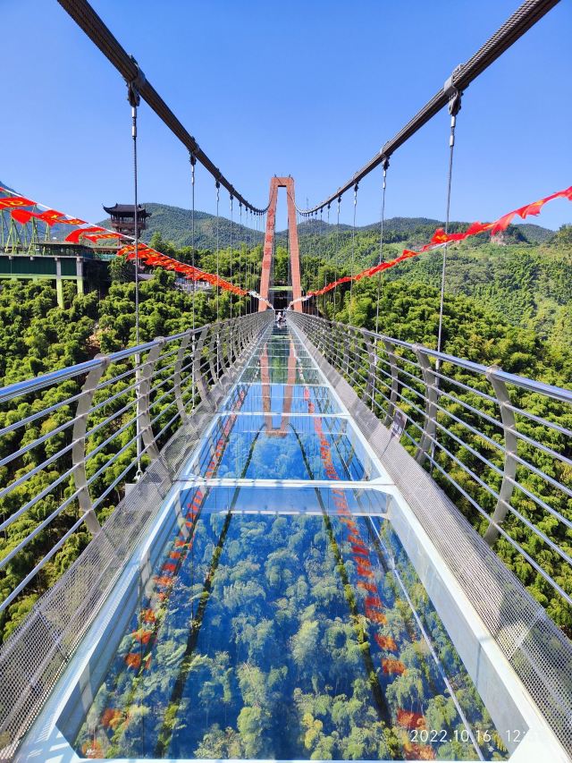 安吉中国大竹海游玩攻略简介,安吉中国大竹海门票/地址/图片/开放时间/照片/门票价格【携程攻略】