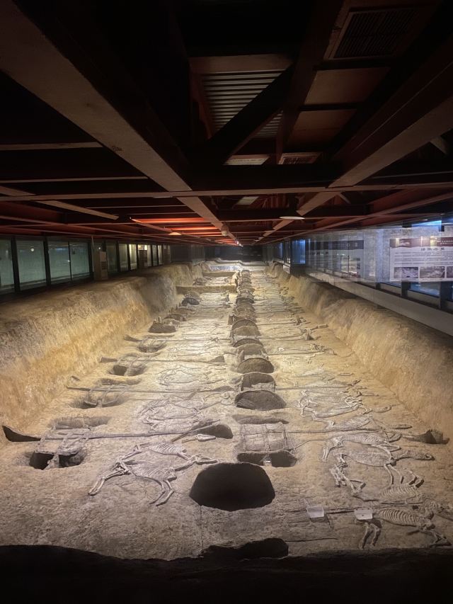 荆州楚王车马阵景区(熊家冢国家考古遗址公园)攻略,荆州楚王车马阵