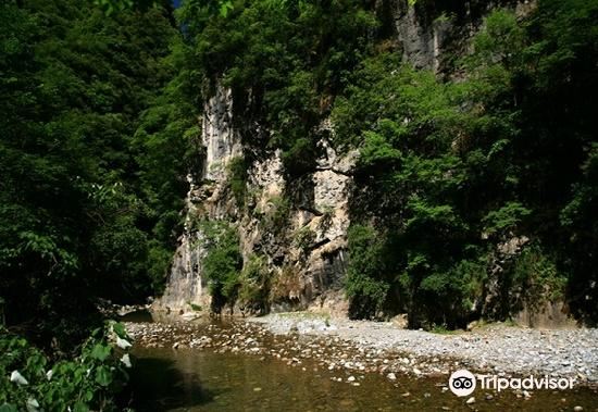 小陇山国家级自然保护区