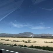 拉斯维加斯莫哈韦沙漠攻略 莫哈韦沙漠门票价格多少钱 团购票价预定优惠 景点地址图片 携程攻略