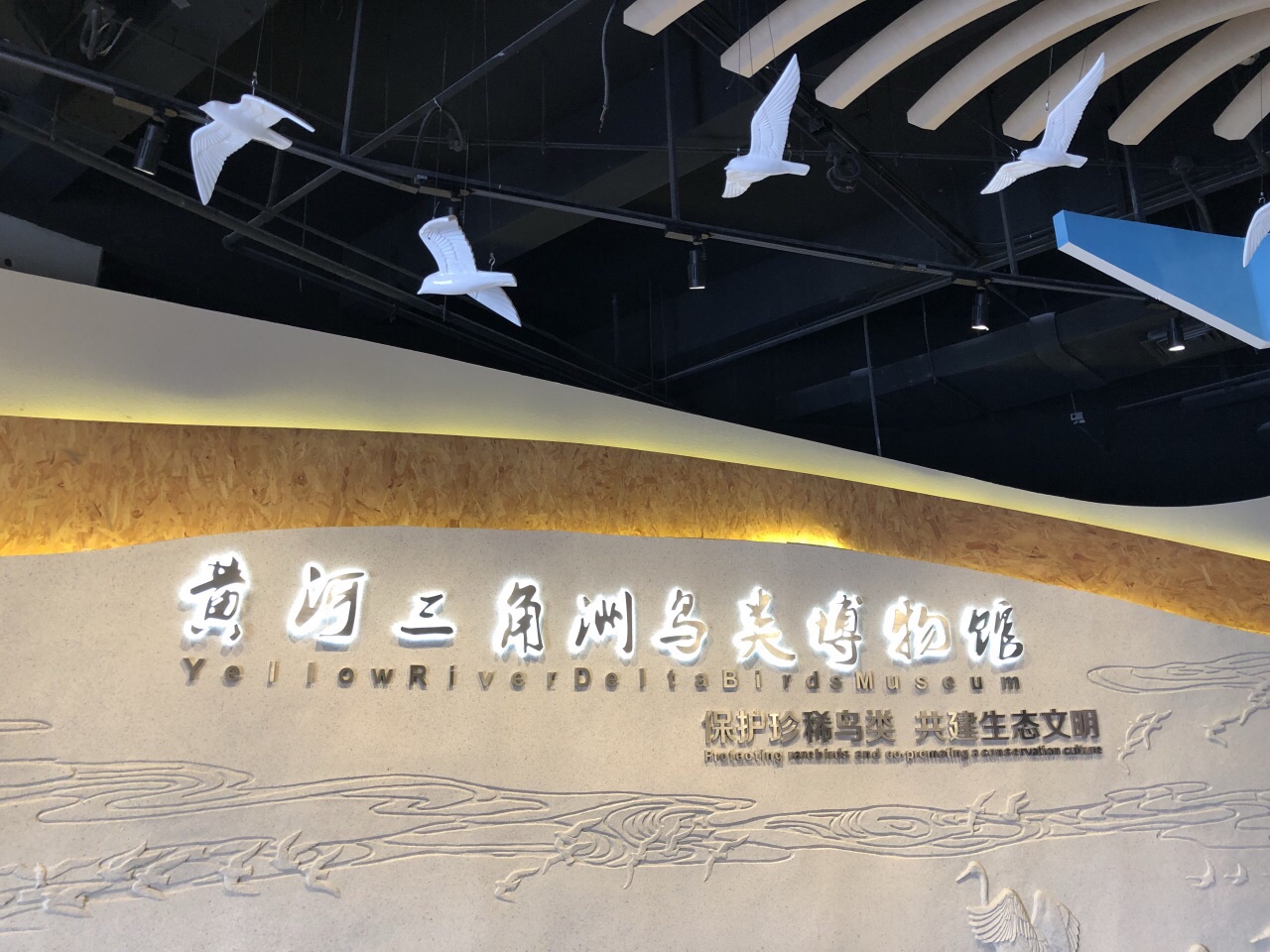 黄河三角洲鸟类博物馆