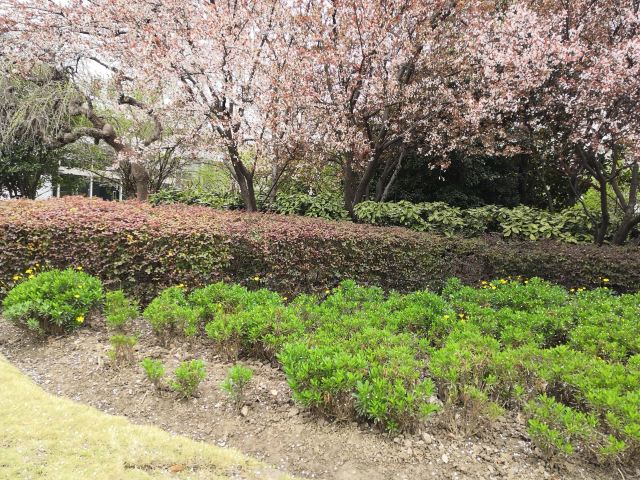 箱根芦之汤花园