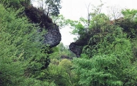 中国百里杜鹃风景名胜区-千年一...