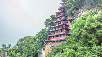 IMG_0246