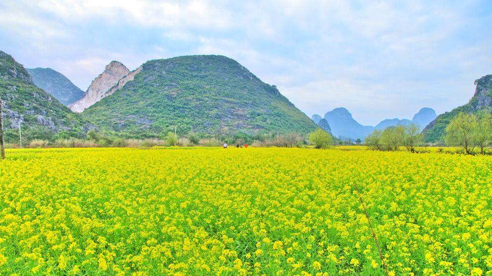 田心村