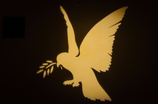 突然牛背哥说:你看这个好漂亮,白鸽叼着橄榄枝