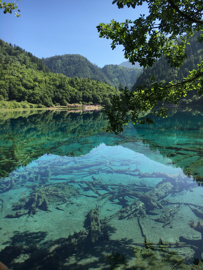 成都、峨眉、九寨沟八日游(7. 九寨天堂) - 九寨