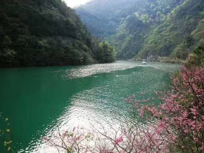 【攜程攻略】浦江水竹灣森林公園交通路線,怎麼去水竹灣森林公園,水竹