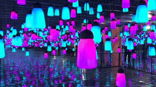 10030x000000l71b23615.gif
