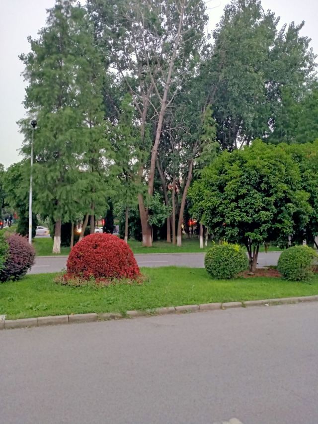 郓城黄泥岗攻略,郓城黄泥岗门票/游玩攻略/地址/图片/门票价格【携程