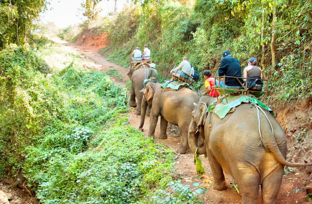 泰国普吉岛 丛林骑象体验 Jungle Elephant Riding