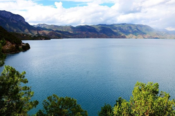 1004060000001wlx4D54A_R_1024_10000_Q90.jpg