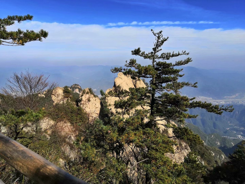 10040x000000l0de9652C_R_800_10000_Q90.jpg