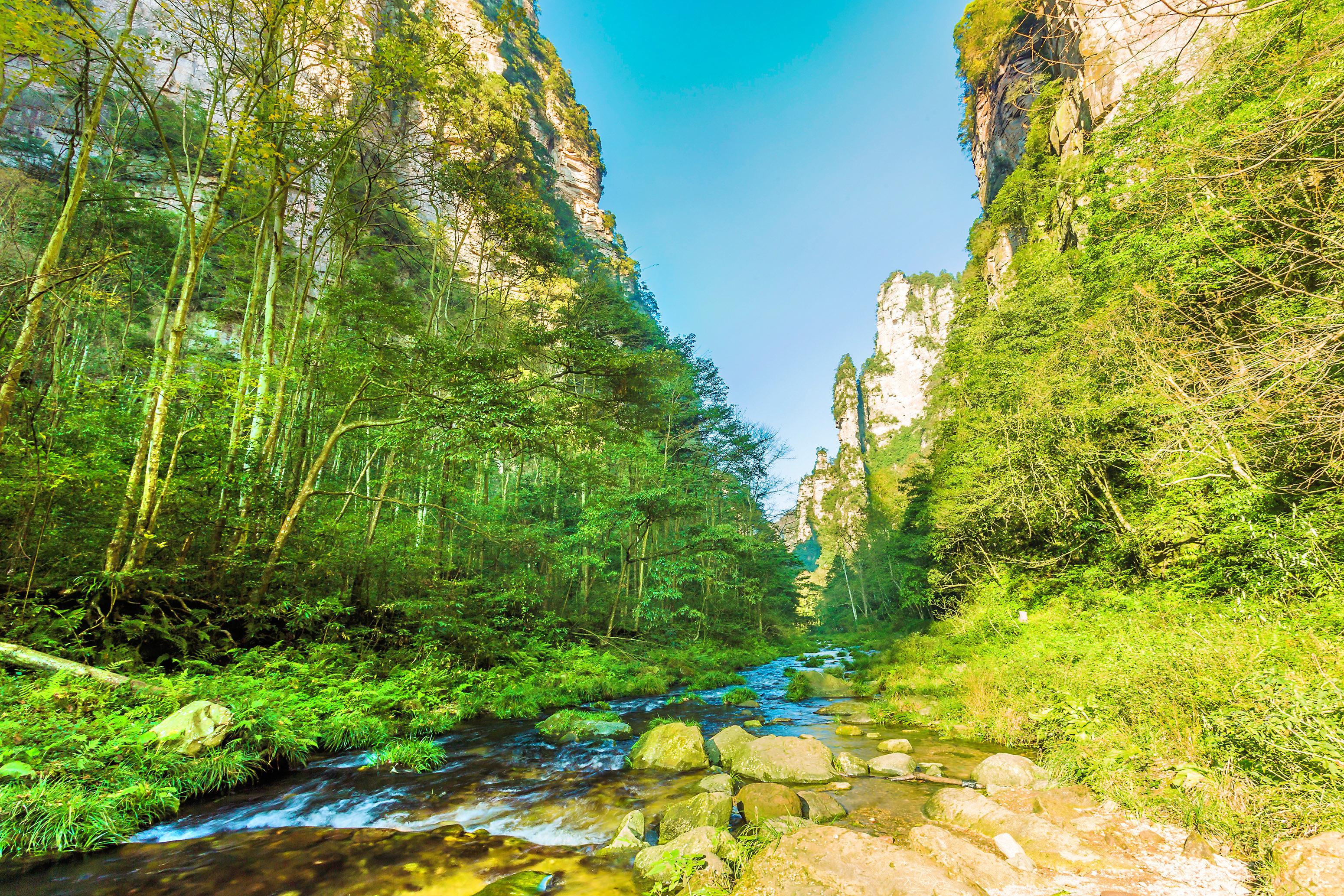 金鞭溪大峡谷