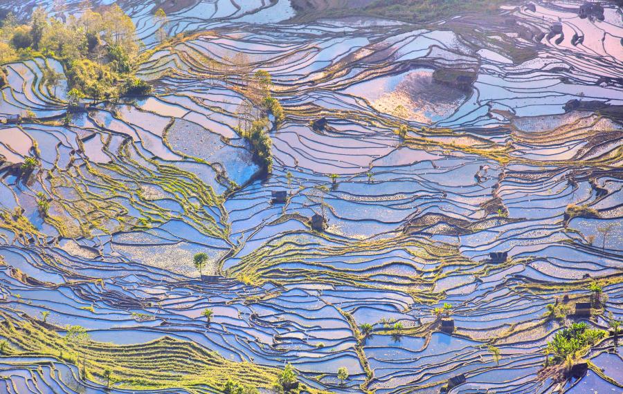 坝达景区