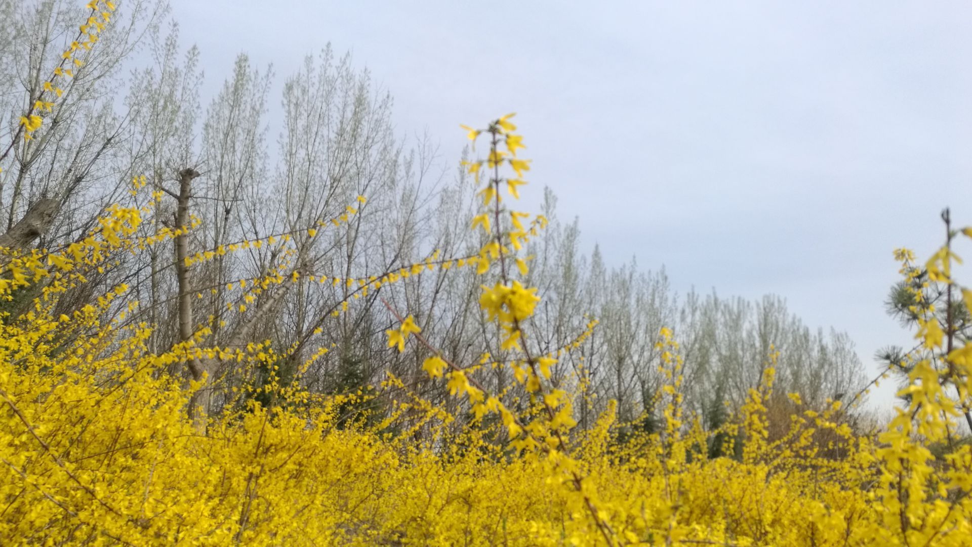 太阳山植物园