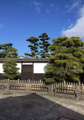 仓敷市人口_日本仓敷市厅舍手绘(2)