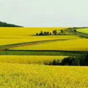 请问六月底北极村和阿里河的气温,穿什么衣服