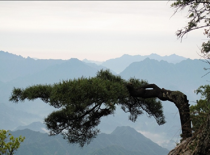 龙池曼风景区