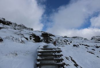 昆明轿子雪山一日游【独立包车 三环内接送 各类车型您挑选】【独立包车，真正自由行】
