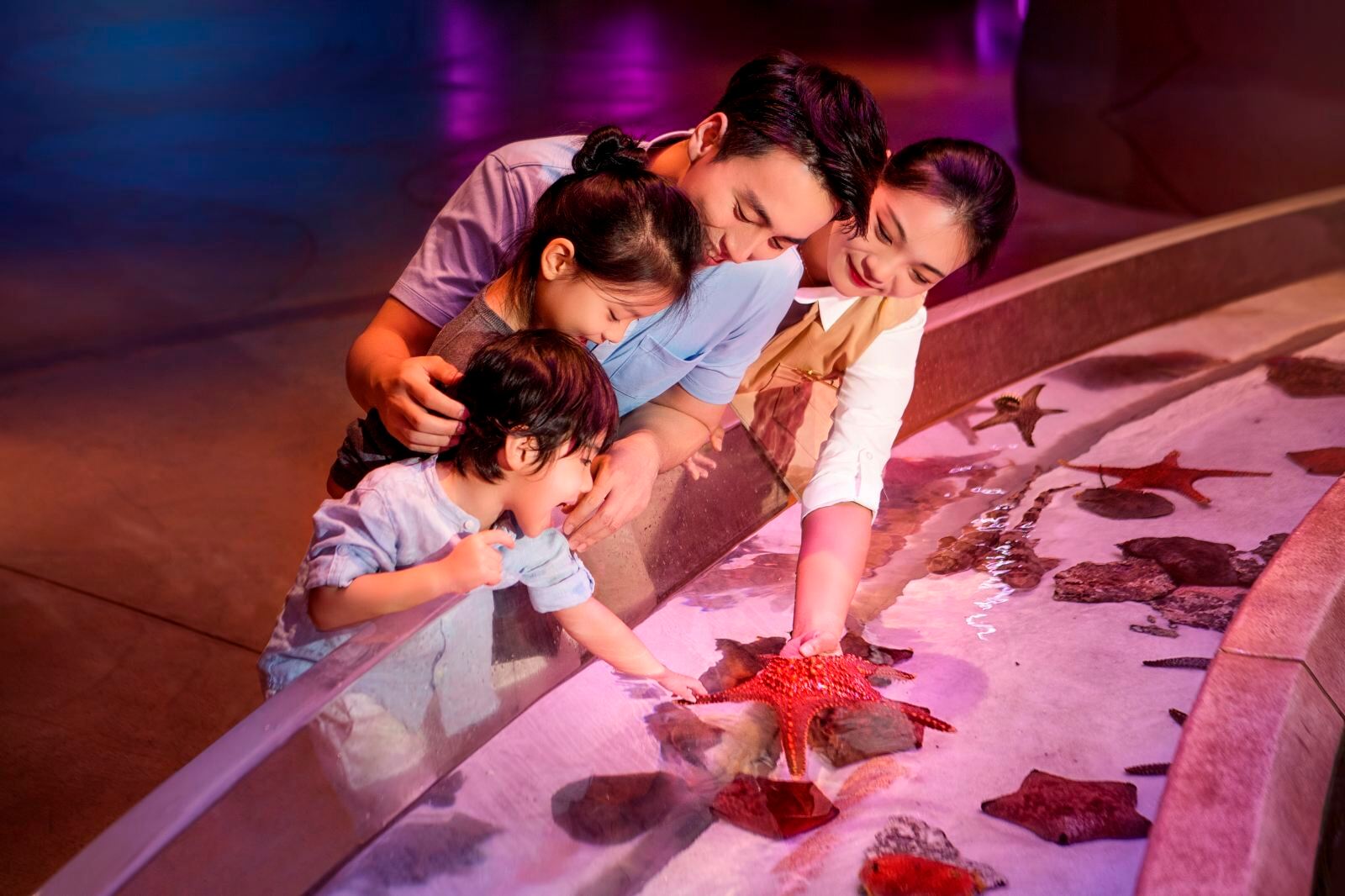三亚亚特兰蒂斯失落的空间水族馆(The Lost Chambers Aquarium (Sanya))