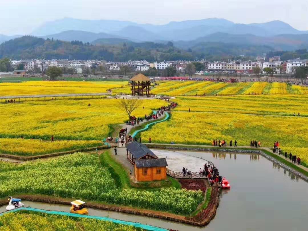 冷杉良田花海影视基地