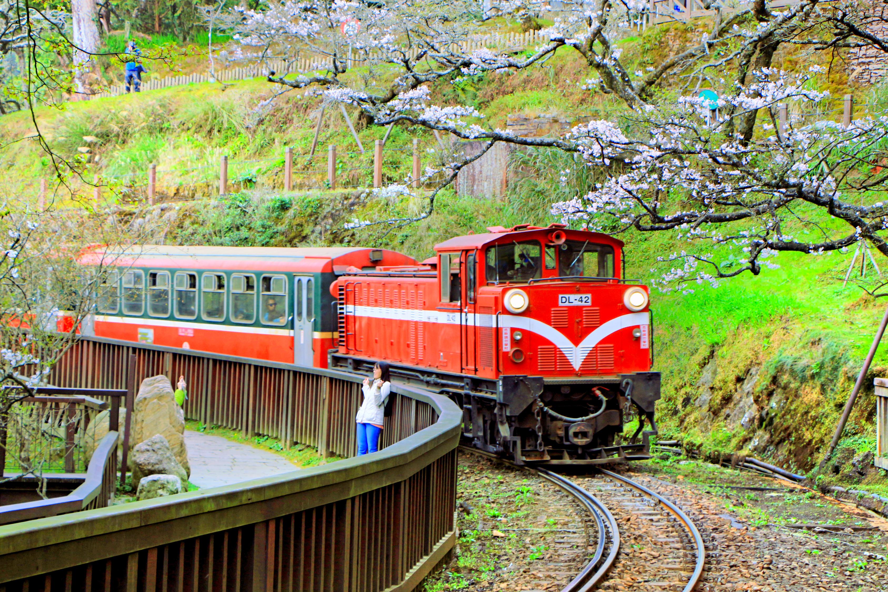 阿里山森林铁路