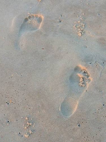 我的巴西、秘鲁、亚马逊梦之游 - 伊瓜苏市游记