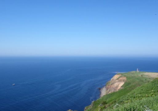 北海道排名_北海道大学排名