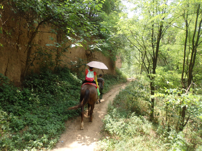 兜兜转转,纯原生态轻松开怀鲸鱼沟骑马一日游