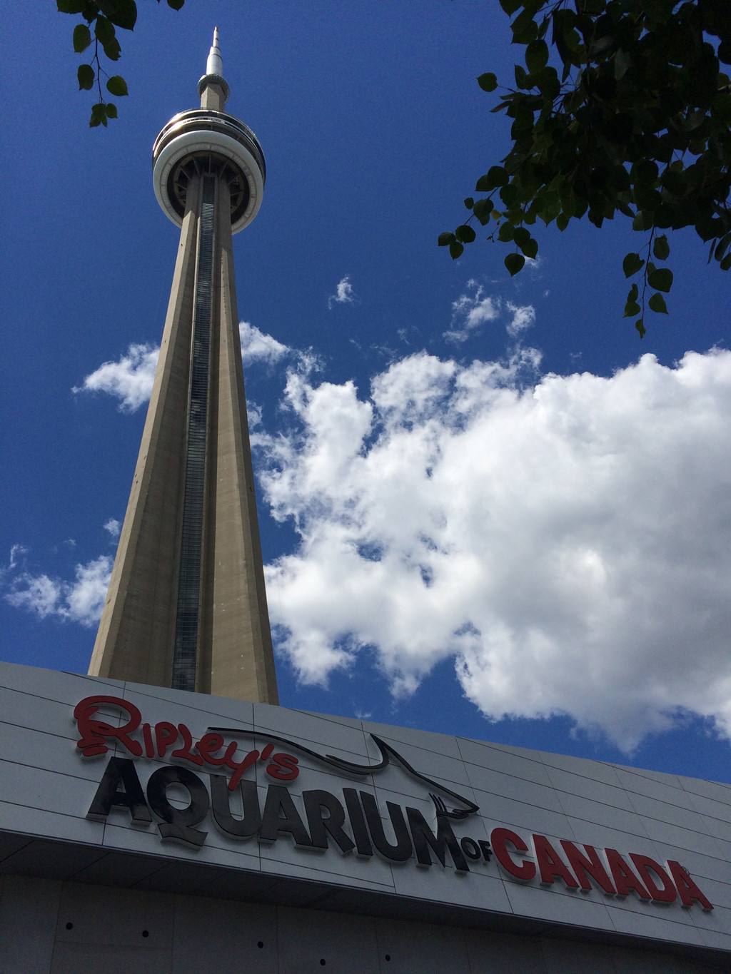 夏天的北美洲之行