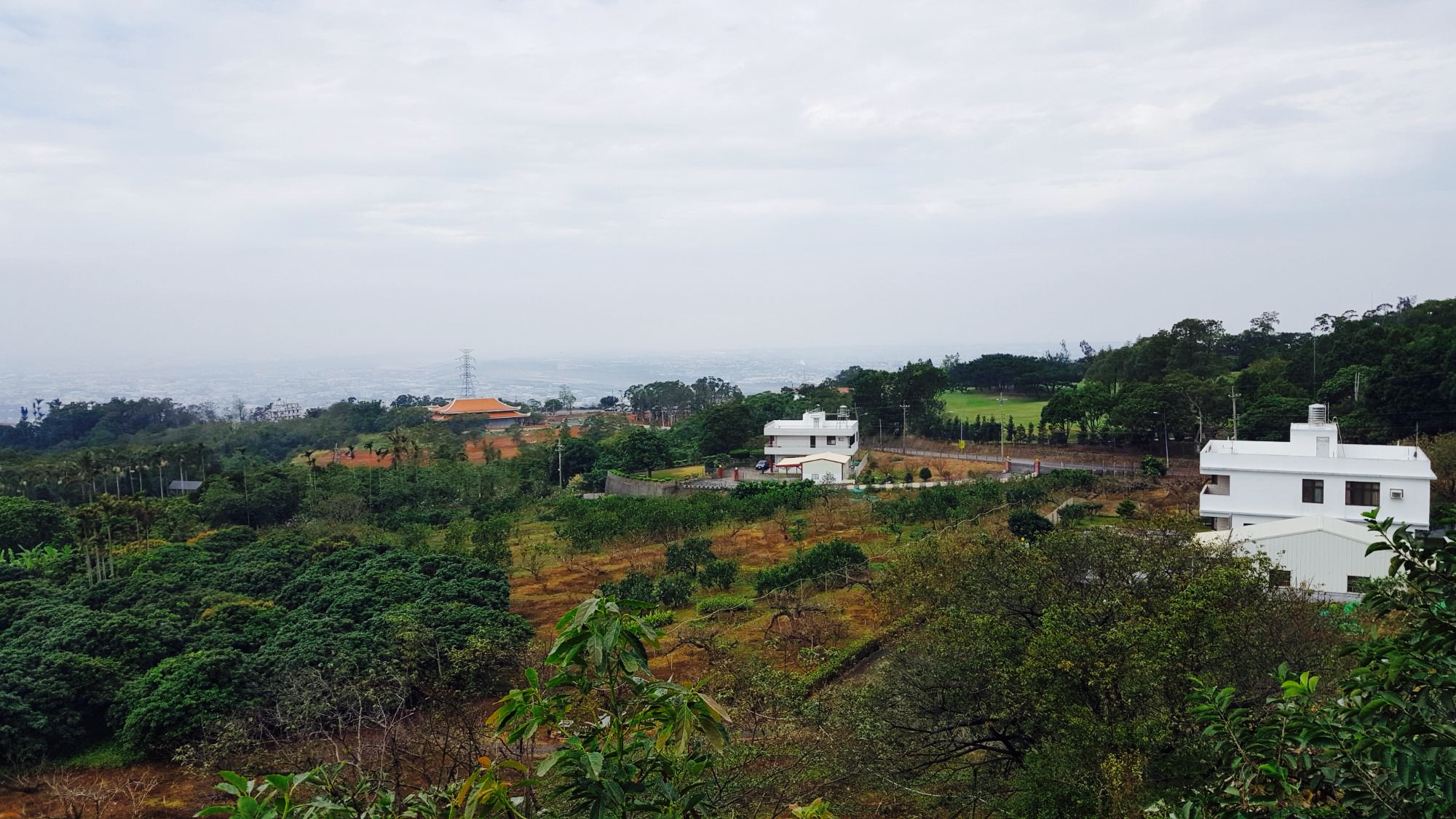 雲仙谷綜合觀光果園