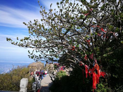 峨眉山金刚嘴攻略,峨眉山金刚嘴门票/游玩攻略/地址/图片/门票价格