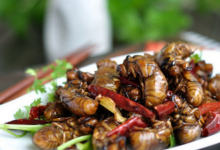 丽水美食图片-知了