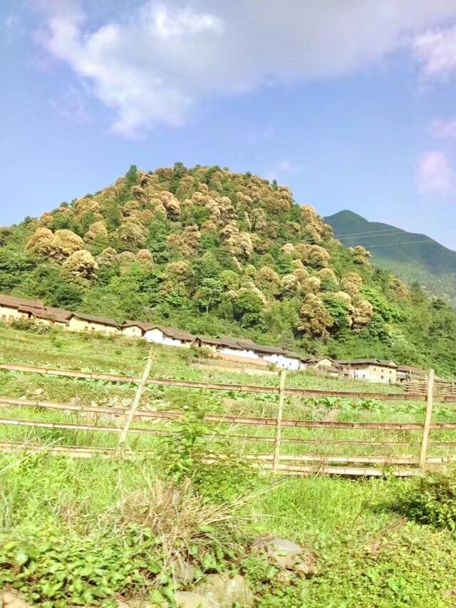 宝莲山风景区