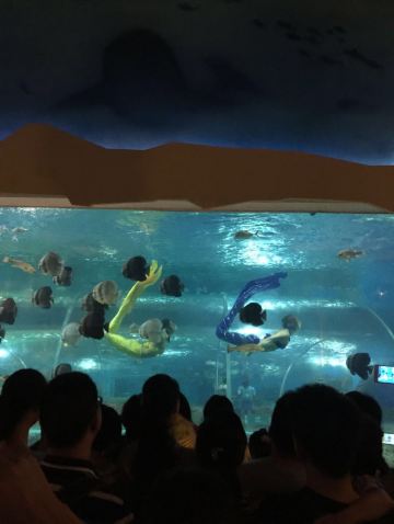 武夷山一日游 - 上饶游记攻略【携程攻略】