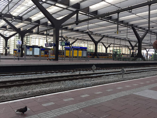 2015 圆梦荷兰 海牙 鹿特丹 台夫特