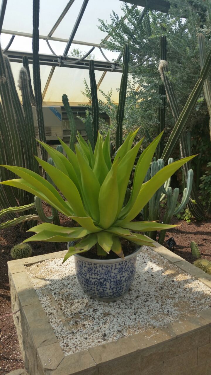 七星湖沙漠博物馆