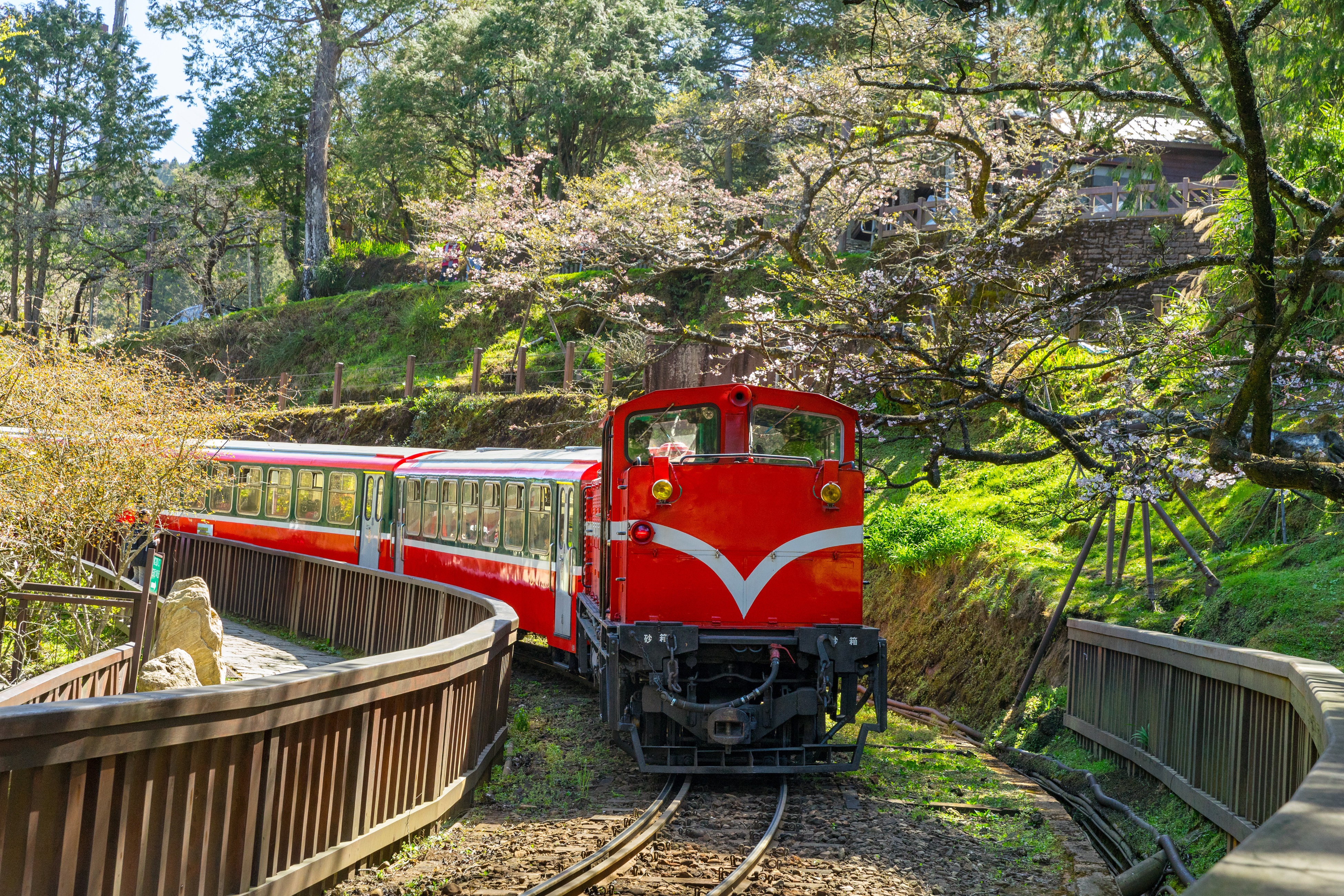 阿里山高山鐵路