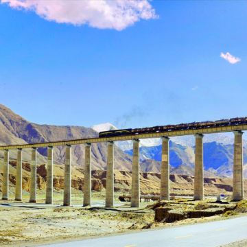 《生命树》精选路线·格尔木+昆仑山口+可可西里+三岔河大桥