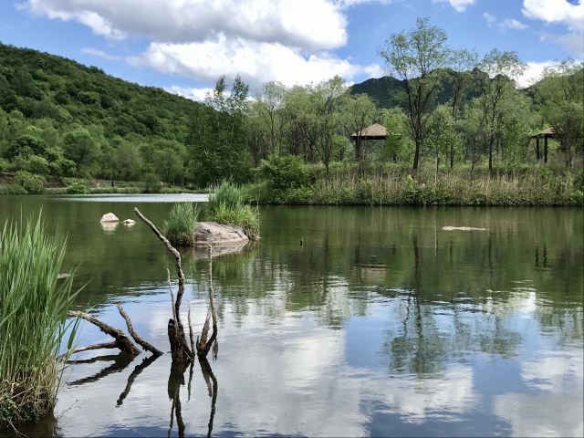 延慶區玉渡山景區攻略,延慶區玉渡山景區門票/遊玩攻略/地址/圖片